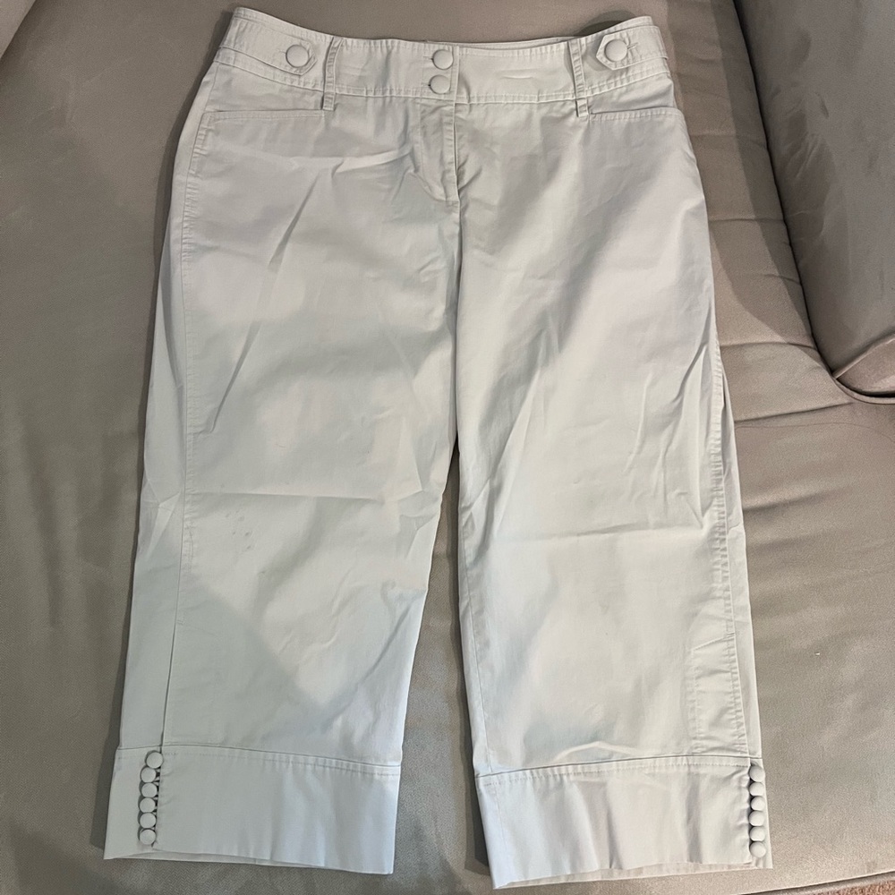 Ann Taylor “Julie” Capri pants